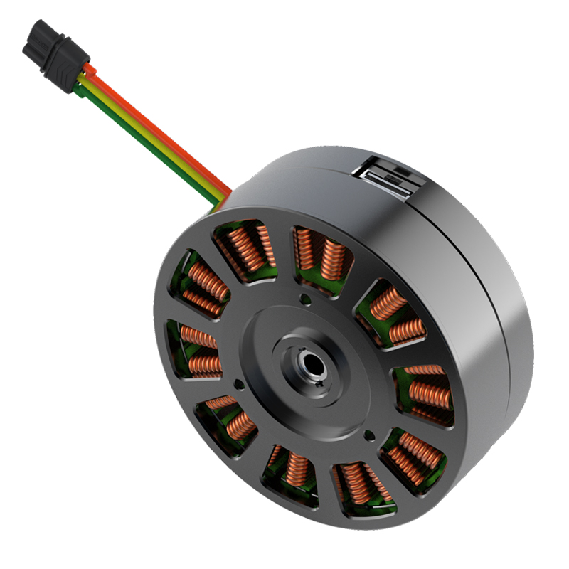Hot Selling Micro 36v Dc Bldc  - Cycloidal Reducer Bldc Motor recension och pris